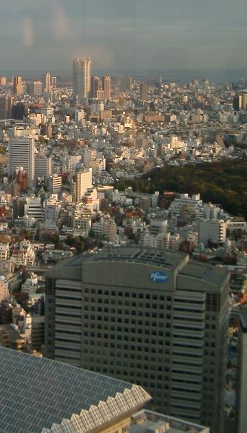 Pfizer Japan HQ